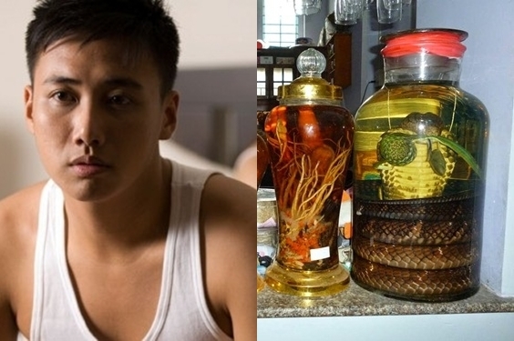 Anh có yếu sinh lý hay không mà uống bổ thận tráng dương?