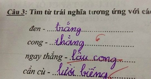 Loạt đáp án chỉ “hội nhất quỷ, nhì ma” mới nghĩ ra khiến bạn cười sặc sụa