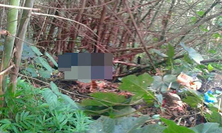 Phát hiện thi thể cụ ông sau 5 tháng mất tích bí ẩn trong rừng