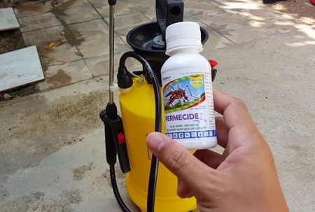 Thuốc diệt muỗi giả nhãn hiệu xuất hiện tràn lan tại Hà Nội