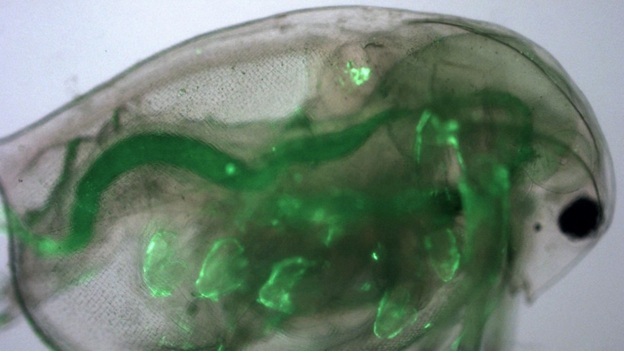 83% mẫu nước máy bị nhiễm bẩn bởi hạt nhựa