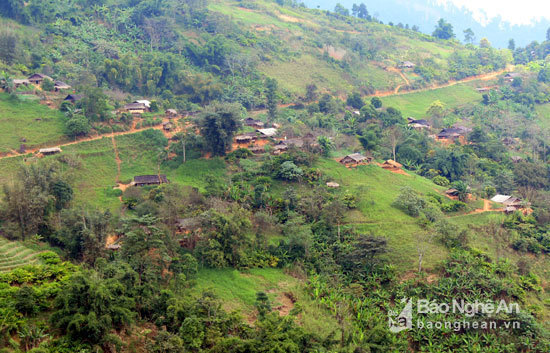 3 học sinh ăn lá ngón tự tử trong ngày học đầu tiên