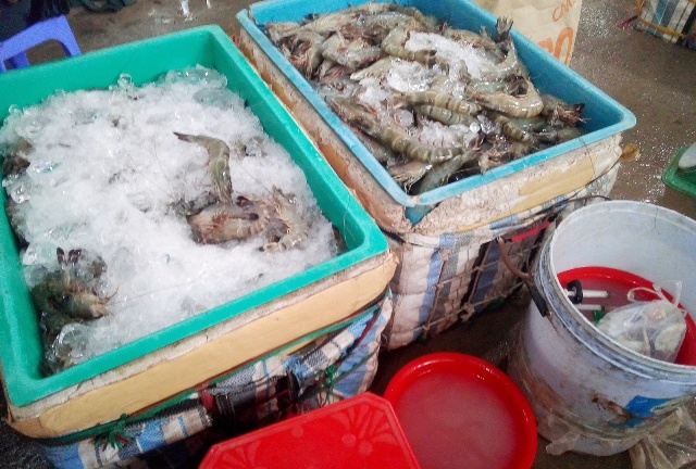 Bắt quả tang một cơ sở bơm chích tạp chất vào hơn 60 kg tôm ở Bạc Liêu