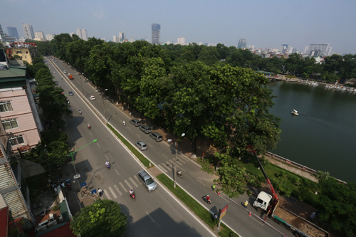 Hà Nội di dời, chặt hạ 130 cây xanh trên đường Kim Mã