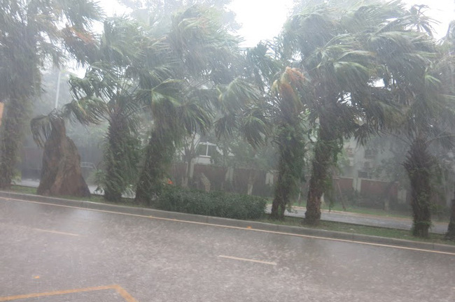 Dự báo thời tiết ngày 9/9: Miền Trung giảm nhiệt, Bắc Bộ mưa rào nhiều nơi