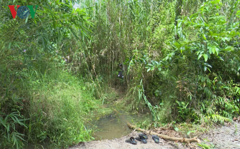 Tin tức thời sự 24h mới nhất ngày 15/9