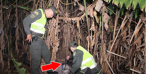 Phát hiện tiếng khóc trong bụi chuối, cảnh sát kiểm tra thì thấy cảnh tượng đau xót