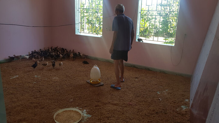 Lợn, gà lên nhà tầng ngủ, người ở dưới nhà kho: Chính quyền xử lý ra sao?