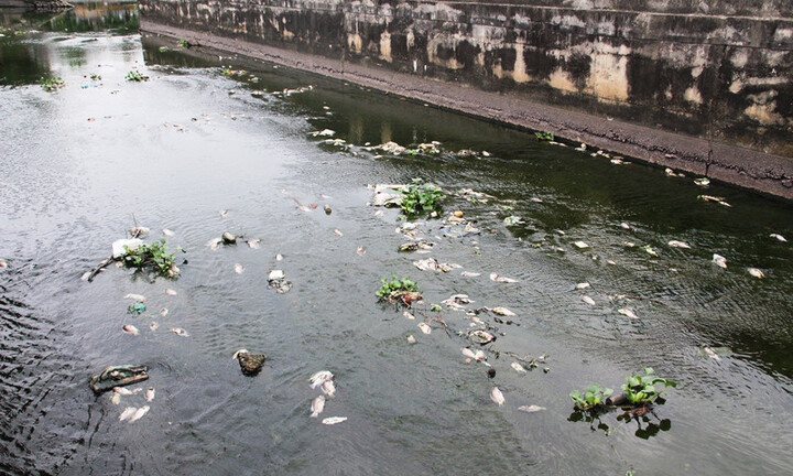 Tin tức thời sự 24h mới nhất ngày 25/9/2017