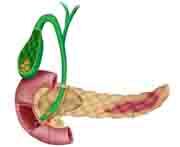 Vinamilk đồng hành tổ chức lễ mừng thọ & chăm sóc sức khỏe cho gần 1.000 người cao tuổi