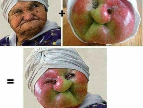 Những hình ảnh hài hết chỗ nói của các thánh chế