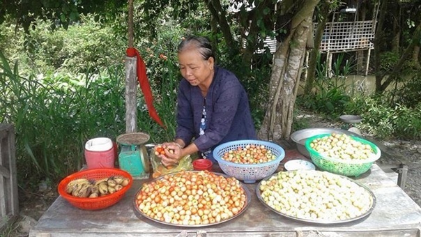 Dân An Giang 