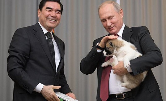 Tổng thống Putin lại được tặng chó nhân dịp sinh nhật