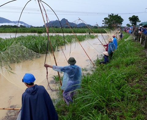 Vợ lao vào cứu chồng bị điện giật, cả 2 cùng tử vong