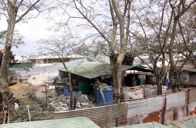 Đình chỉ hoạt động công ty để xảy ra sự cố rò rỉ khí amoniac ở Bình Chánh