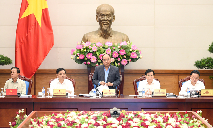 Thủ tướng nói vấn nạn chặt phá rừng: ‘Cây gỗ chứ có phải cây kim đâu mà không biết’