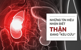 Nguyên nhân chính gây hại thận: Bạn đã biết để phòng tránh?