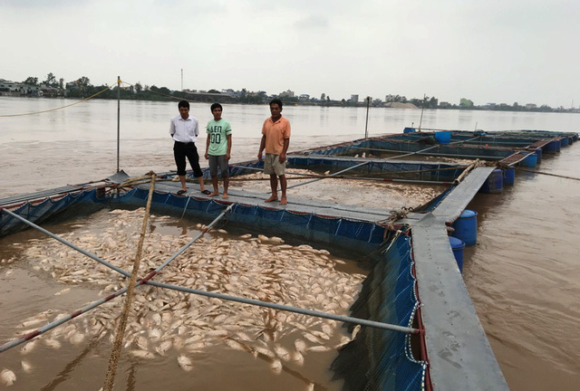 Tin tức thời sự 24h mới nhất ngày 19/10/2017