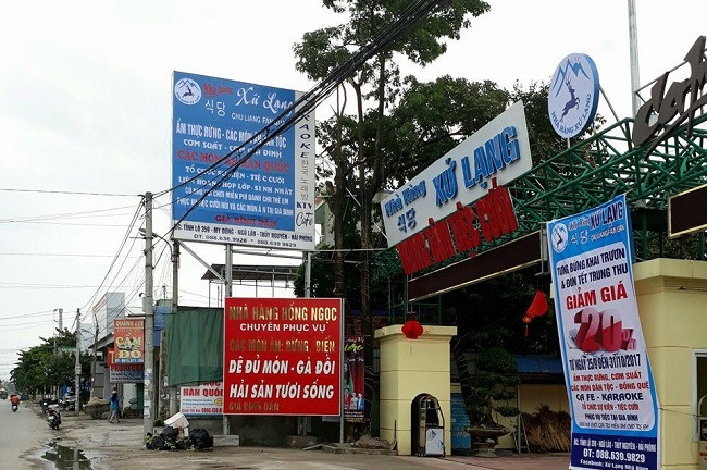 Kỳ 1: Tôi đi xem mặt, tuyển chồng Hàn