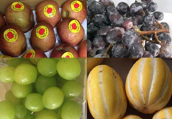 Chị em Hà Thành tranh nhau đặt mua táo héo, nho rụng, dưa sứt vỏ