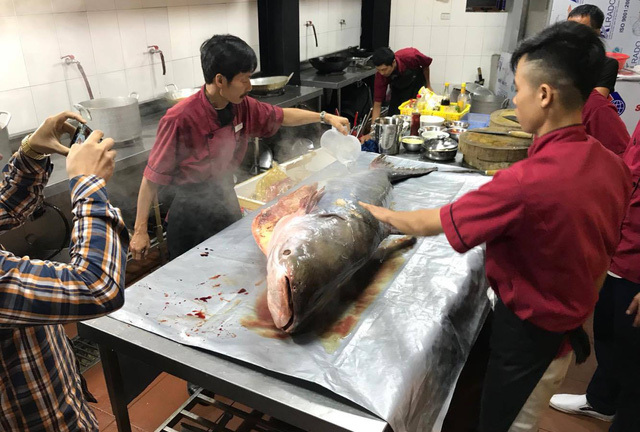 Máy bay chuyển cá tra 