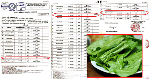 Kết quả xét nghiệm dư lượng thuốc bảo vệ thực vật trong rau trường Hoàng Liệt