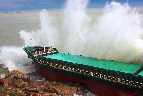 9 tàu hàng bị chìm trong bão, 80 người được cứu, nhiều người khác mất tích 