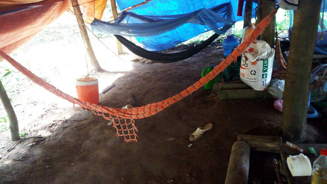 Tin tức pháp luật mới nhất ngày 15/11/2017