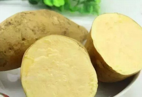 Những lợi ích bất ngờ từ khoai lang trắng cho sức khoẻ của bạn