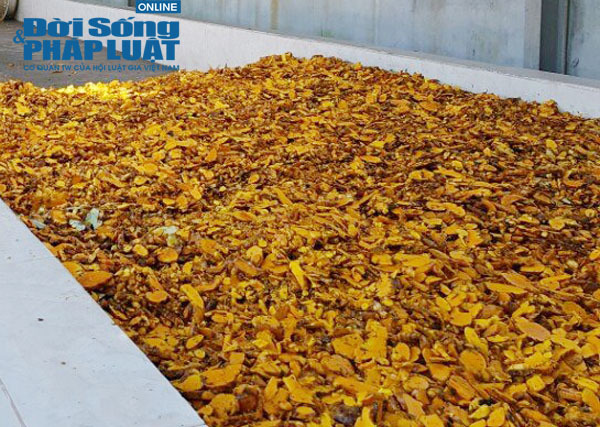 Anh công nhân làm gạch 