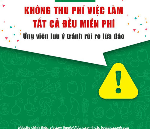 Bách hóa Xanh: Tuyển dụng không mất phí nhưng nhiều người vẫn sập bẫy cò