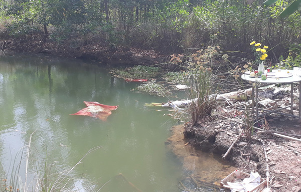 Phát hiện thi thể 2 bà cháu dưới ao sau nhà