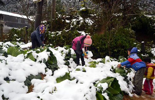 Không khí lạnh tăng cường, có nơi rét dưới 10 độ