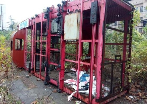 Lũ chó hoang gầm gừ bên bé 3 tháng tuổi bị bỏ đi