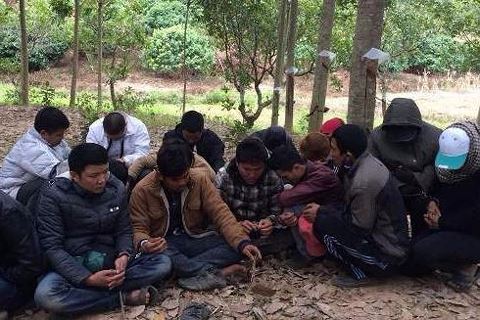 Tin tức pháp luật mới nhất ngày 21/12/2017