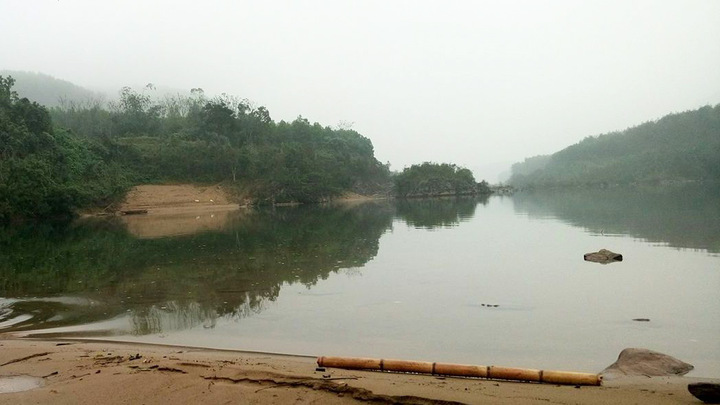 Buộc thôi việc giám đốc rừng phòng hộ