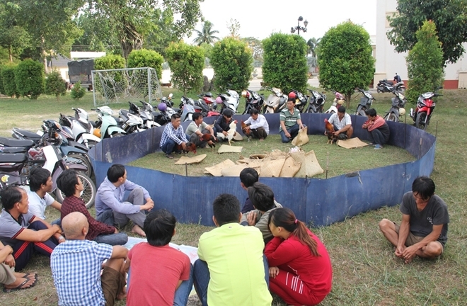 Tin tức pháp luật mới nhất ngày 27/12/2017