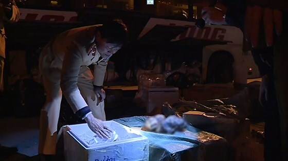 Phát hiện 19 đầu khỉ và nhiều hàng 