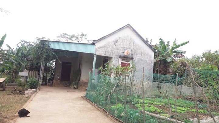 Nữ sinh lớp 11 ở Nghệ An mất tích bí ẩn: Nỗi đau của người mẹ!