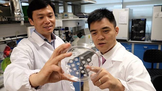 Quý ông bụng bia: Đã phát minh ra miếng dán đánh tan bụng mỡ trong 4 tuần