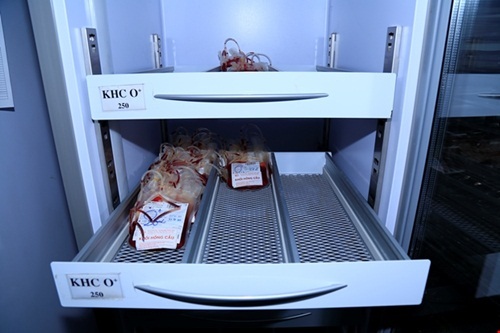 Nhóm máu O tại Viện Huyết học chỉ đủ cung cấp cho miền Bắc trong 1 ngày