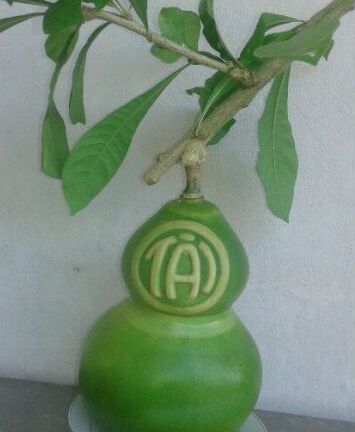 Quà Tết siêu độc: Đào tiên hồ lô giá nửa triệu đồng cho Tết Nguyên Đán