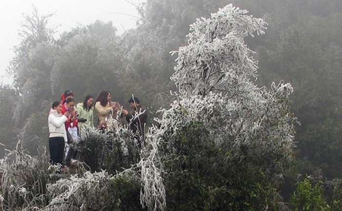 Miền Bắc tiếp tục rét đậm, rét hại, vùng núi cao dưới 3 độ C