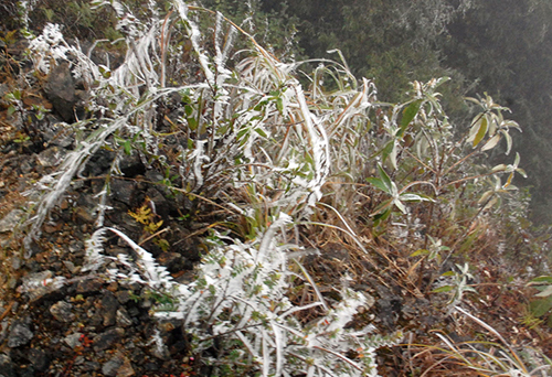 Dự báo thời tiết ngày 12/1: Miền Bắc tiếp tục rét đậm, rét hại