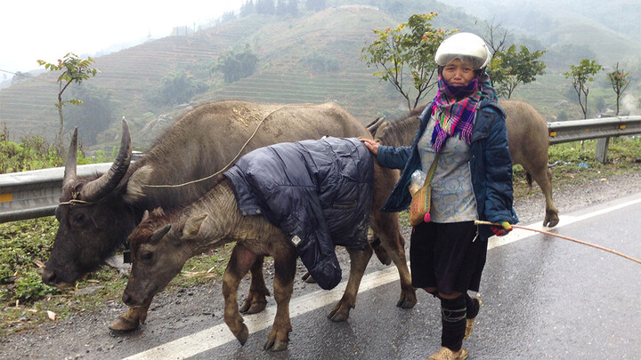 Dự báo thời tiết ngày 11/1: Không khí lạnh ảnh hưởng tới Tây Nguyên
