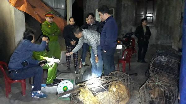 Triệt phá đường dây trộm, tiêu thụ hàng trăm con chó