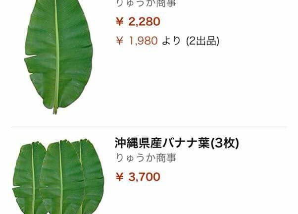 Sốc với lá chuối đăng bán trên Amazon gần 500 nghìn 1 lá