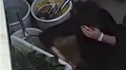 Chủ nhà hàng bị hành hung dã man vì 