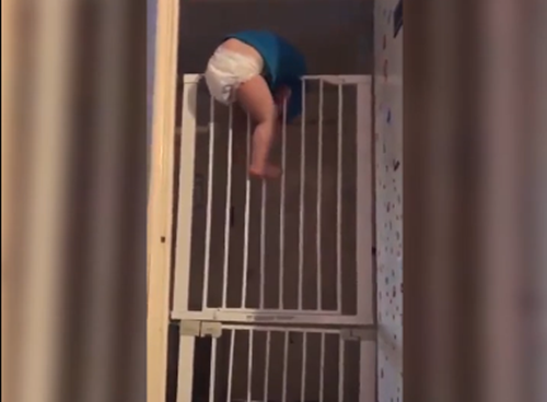 Clip cậu nhóc 'vượt ngục' khiến người xem 'hết hồn'