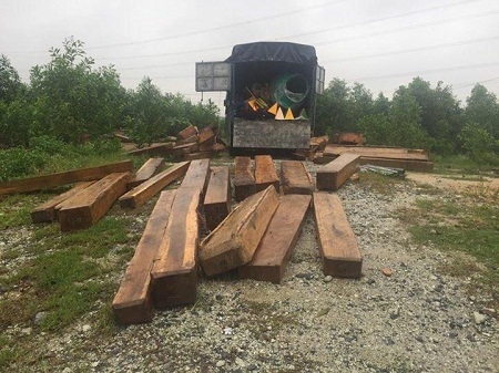 2 cảnh sát bị thương khi truy bắt xe chở gỗ lậu